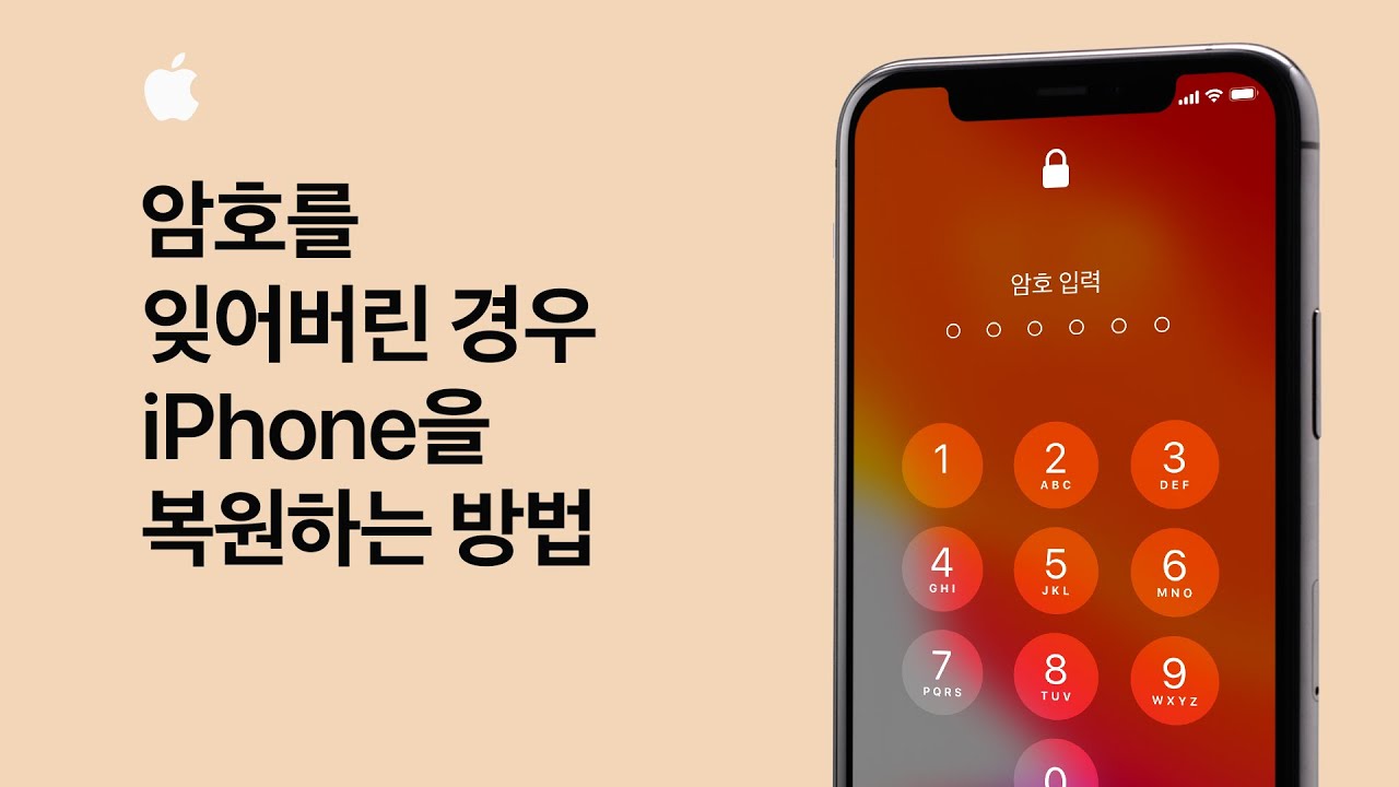 아이폰 이미지