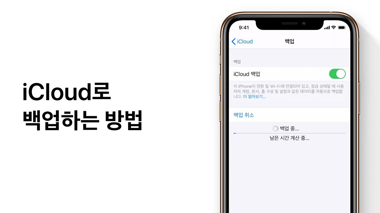 아이폰 이미지